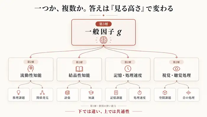 狭い能力、広い能力、一般因子gを三つの階層で示した知能モデルの概念図